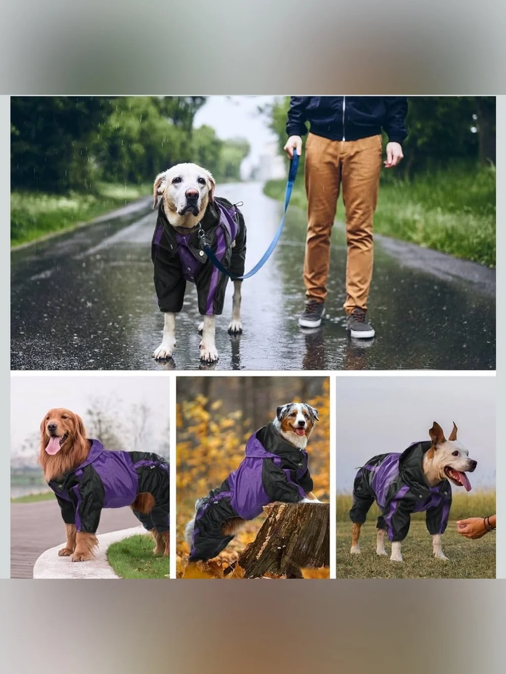 N/A dog raincoat